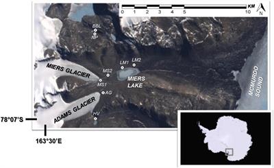 Microbial Mats of the McMurdo Dry Valleys, Antarctica: Oases of Biological Activity in a Very Cold Desert